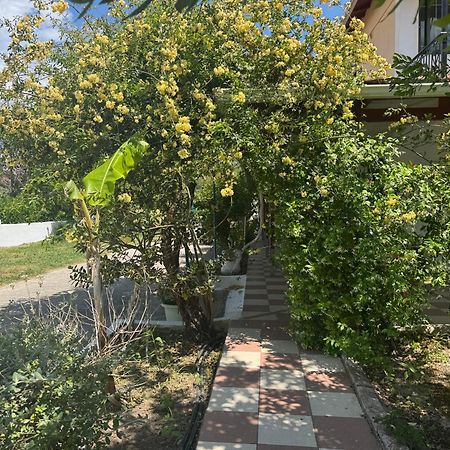 Koala Place Βασιλική Εξωτερικό φωτογραφία