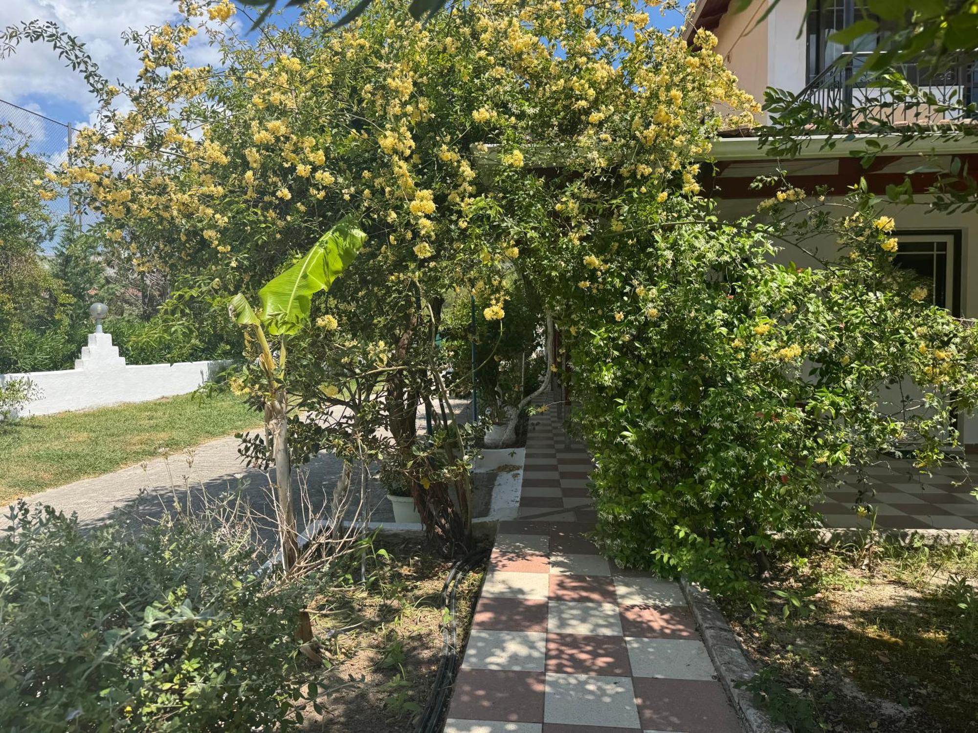 Koala Place Βασιλική Εξωτερικό φωτογραφία