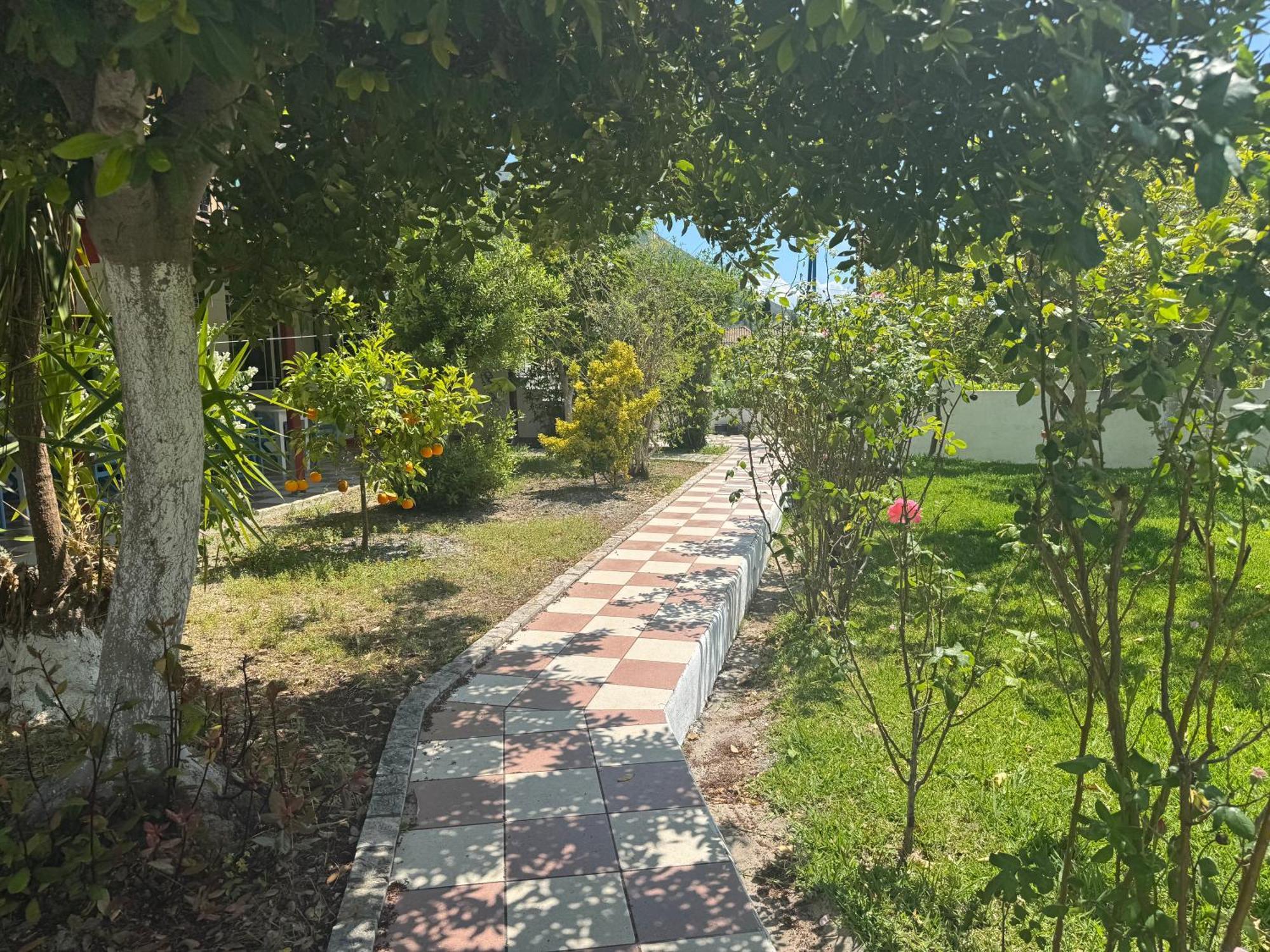 Koala Place Βασιλική Εξωτερικό φωτογραφία