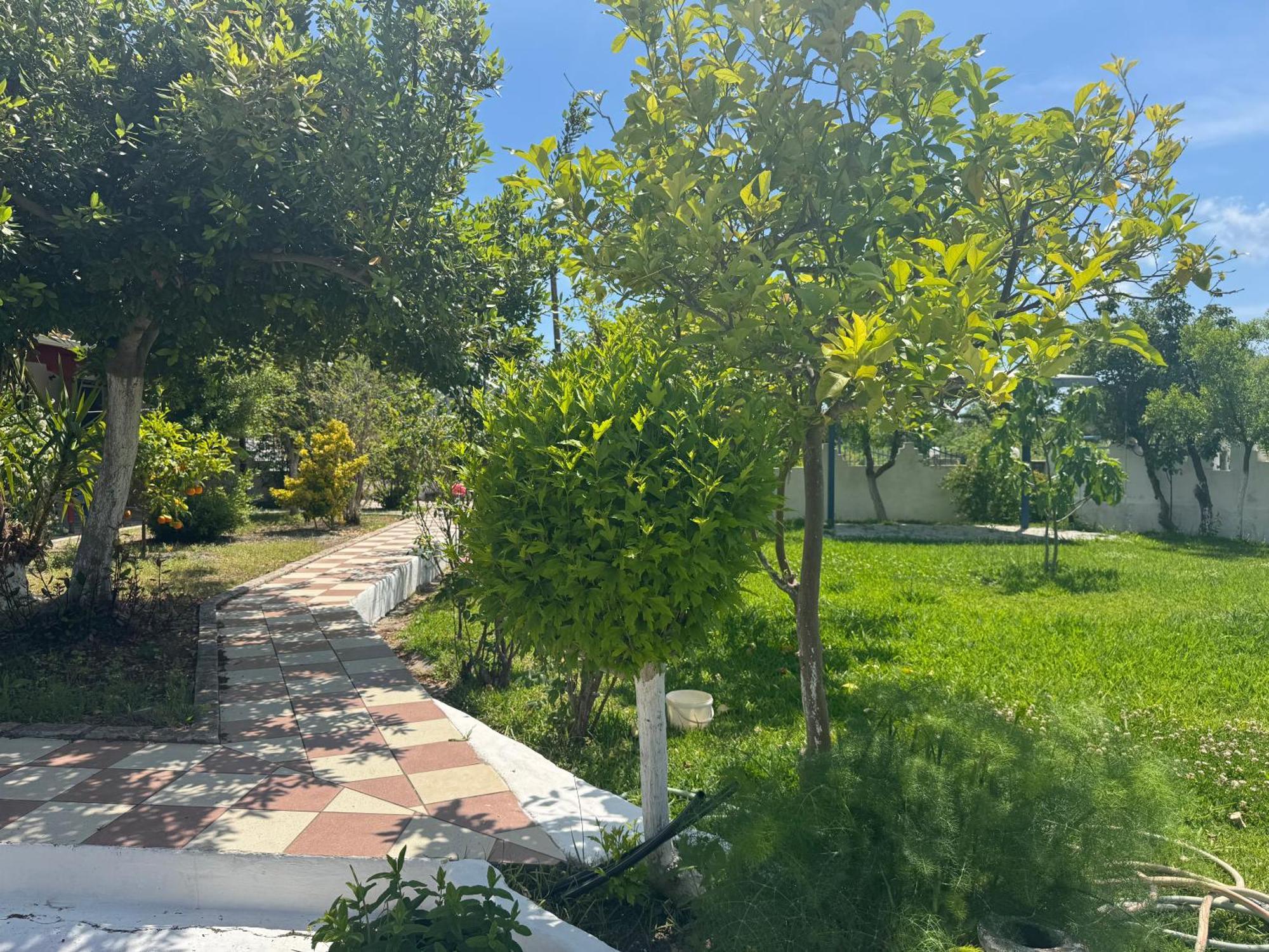Koala Place Βασιλική Εξωτερικό φωτογραφία
